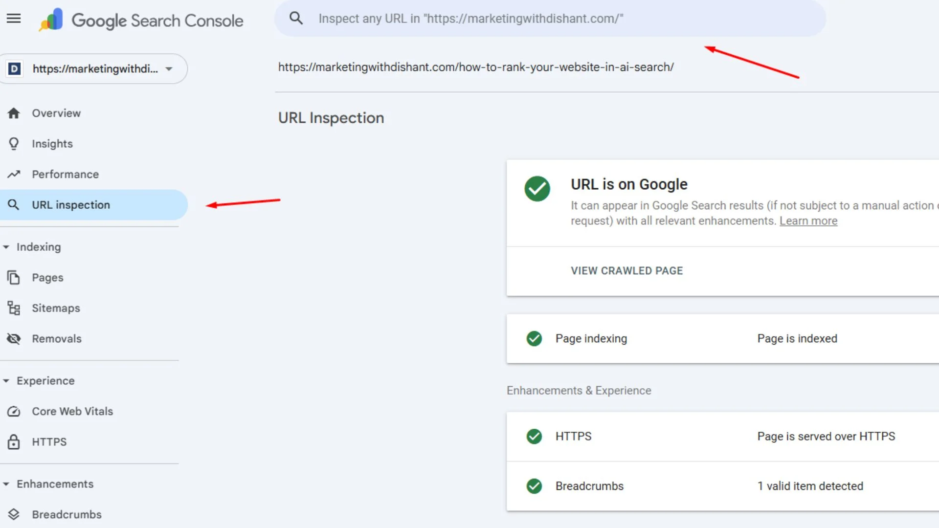 Step 2 - Why Google Is Not Indexing Your Pages